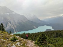 View of Peyto Lake from a viewpoint along the Bow Summit Lookout Trail.