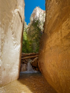 At the ~8.5 mile mark, you reach a ~10 foot waterfall that blocks the canyon (credit: John Strother)