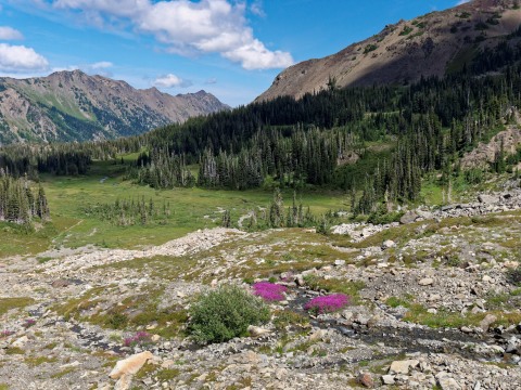 View as you descend from Cameron Pass down into the valley towards Cameron Creek (credit: John Strother)