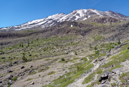 Loowit Trail as it traverse along the southeast face of Mount St. Helens (credit: John Strother)